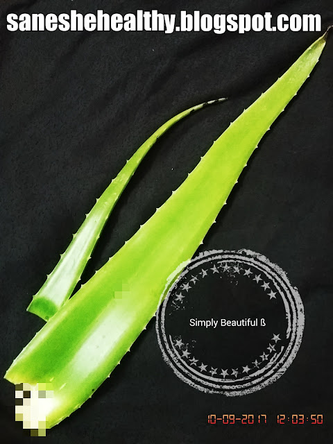 15 Health Benefits Of Aloe Vera.