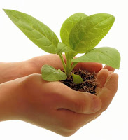 Is Meaningful Use Too Successful?