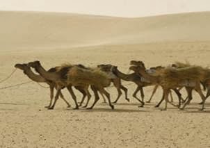 To MU or Not to MU 2, that is the Question