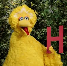 The Big Birds of Health Care